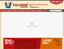 Tablet Screenshot of fscandino.com